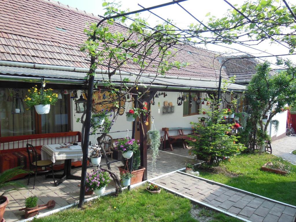 Pension Bassen Bazna Exterior photo