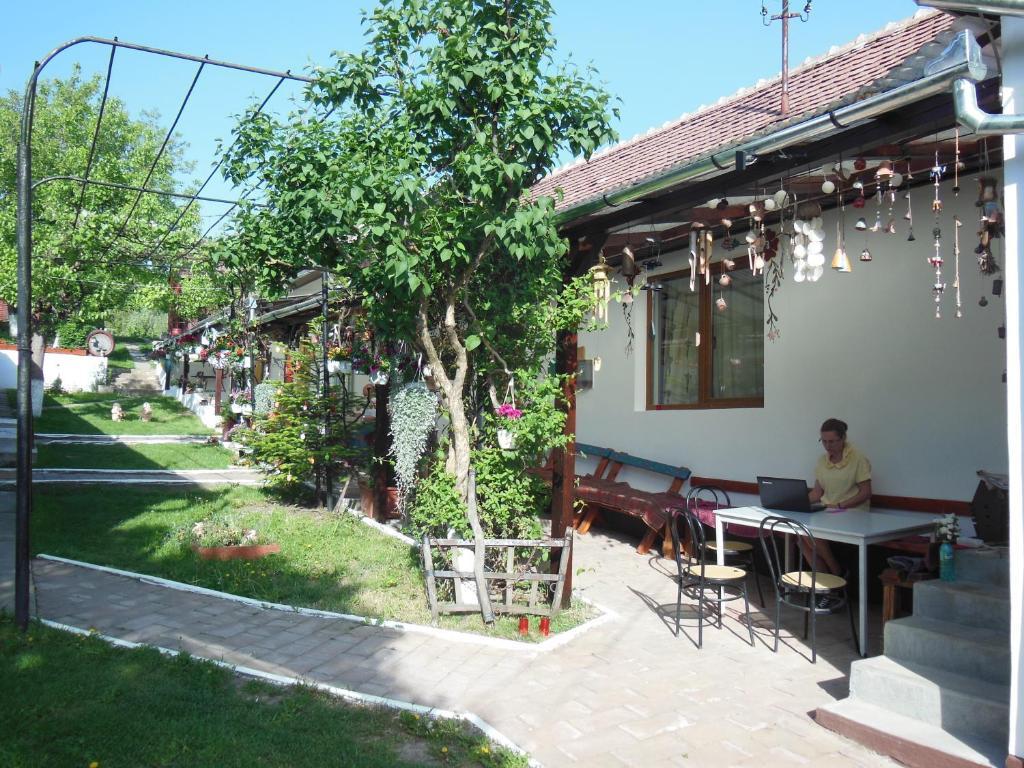 Pension Bassen Bazna Exterior photo