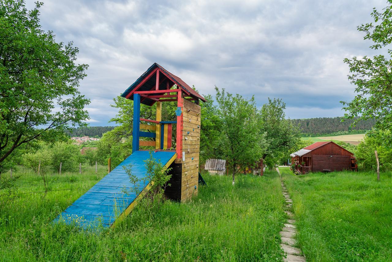 Pension Bassen Bazna Exterior photo